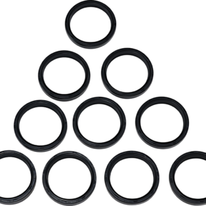 Fork Seals - 49 mm - 10-Pack