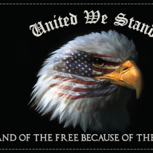 United We Stand Flag - 6" x 9"