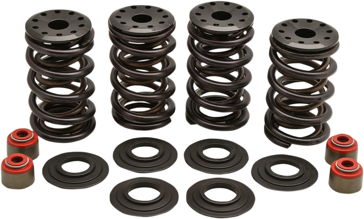 Spring Kit - Twin Cam/XL