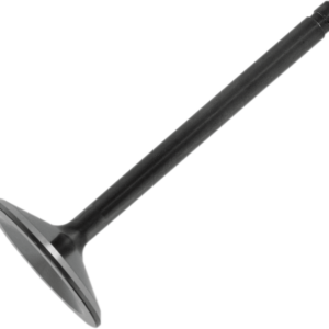 Intake Valve - 1200 XL