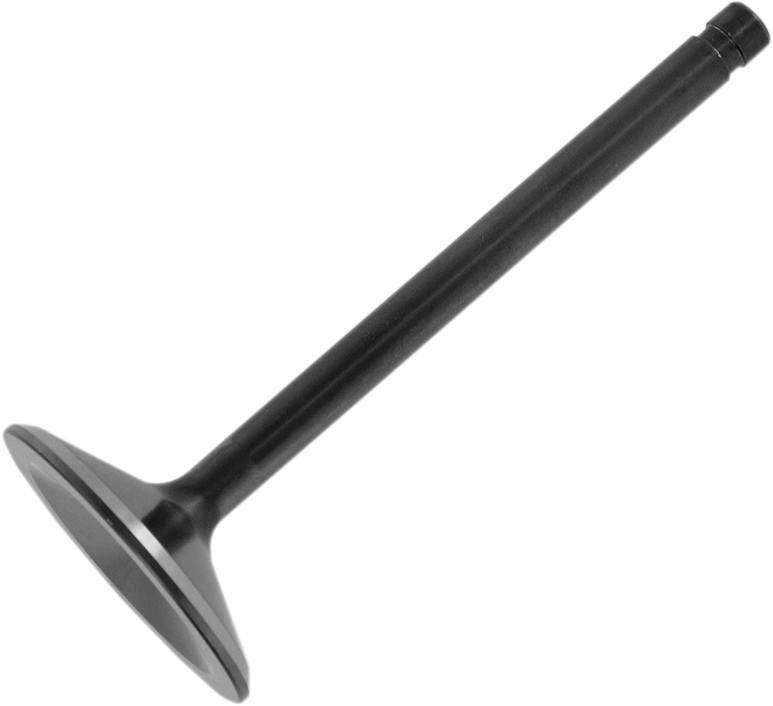 Intake Valve - 1200 XL