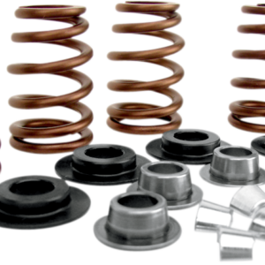 Spring Kit - .650" - Big Twin