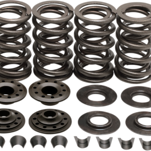 Valve Spring Kit - Big Twin