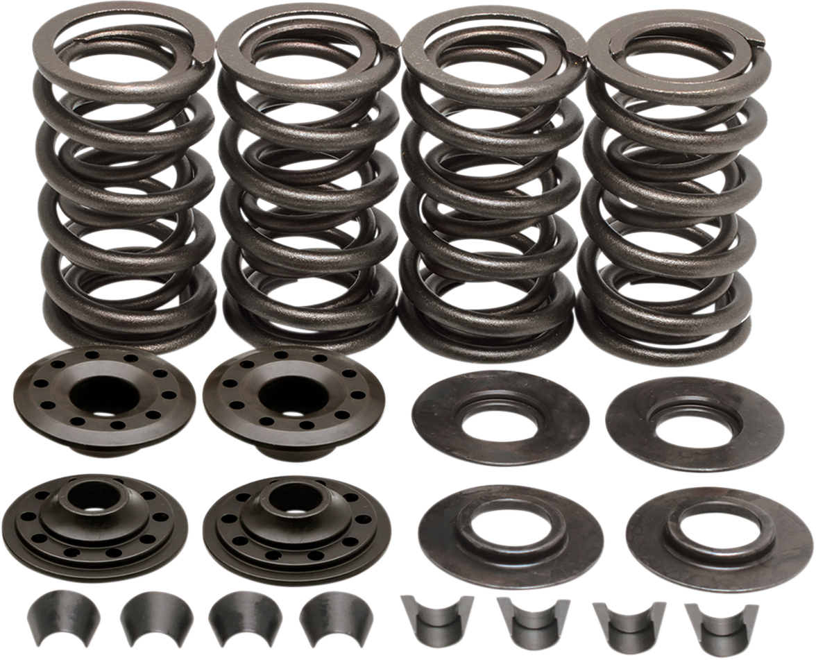 Valve Spring Kit - Big Twin