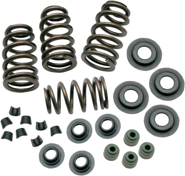 Valve Spring Side View Valve Springs - .650