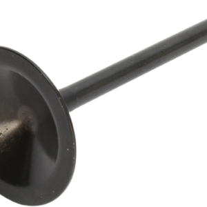 Intake Valve - 1200 XL