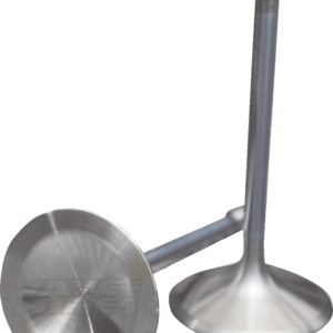 Exhaust Valve - Twin Cam