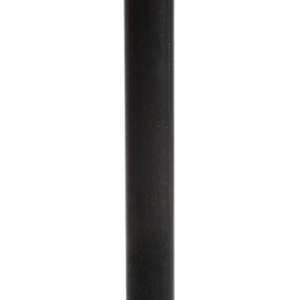 Intake Valve