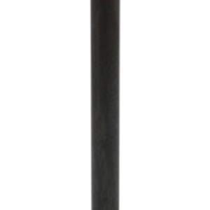 Intake Valve