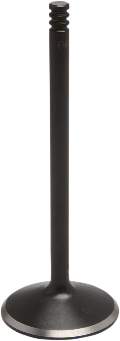 Intake Valve