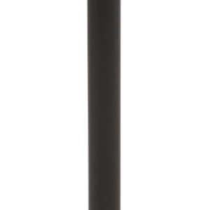 Intake Valve
