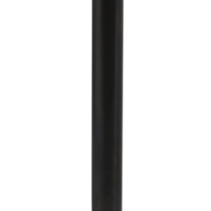 Intake Valve