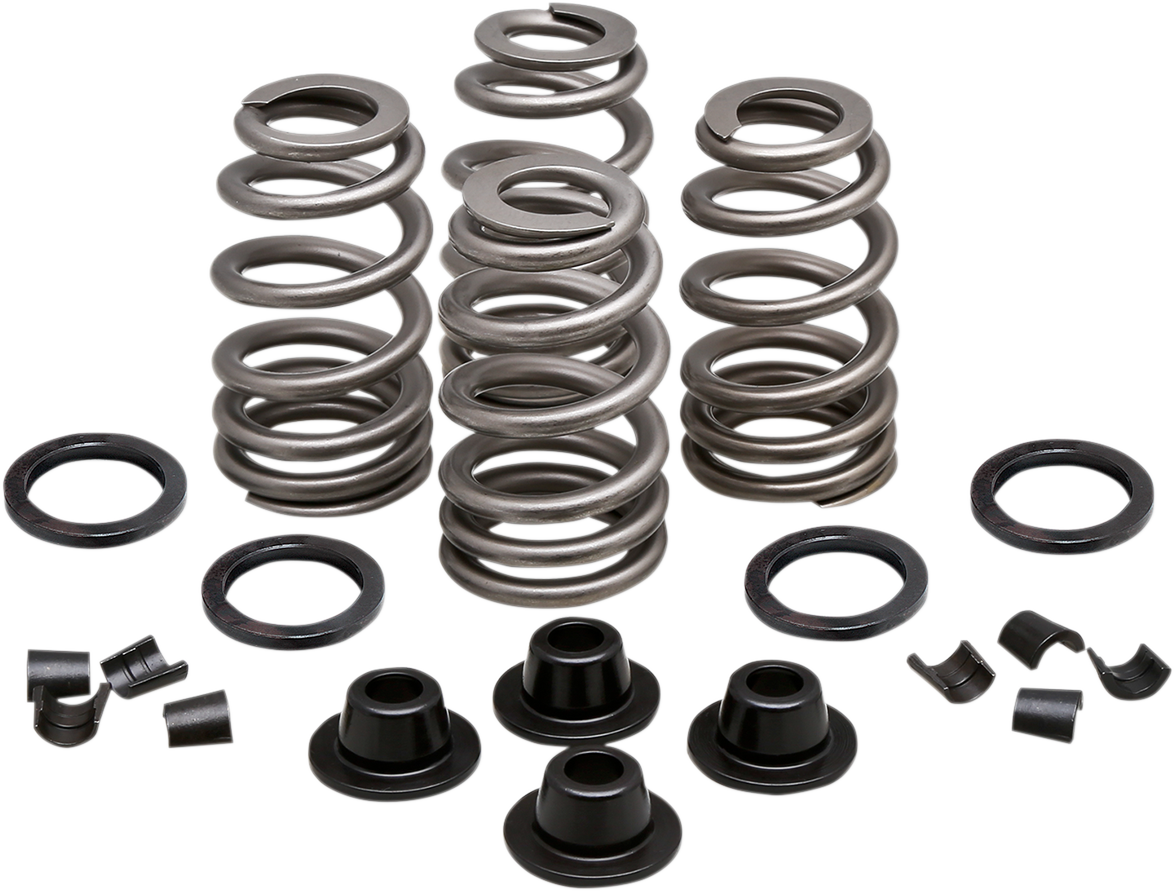 Spring Kit - .660" - Evolution/Twin Cam