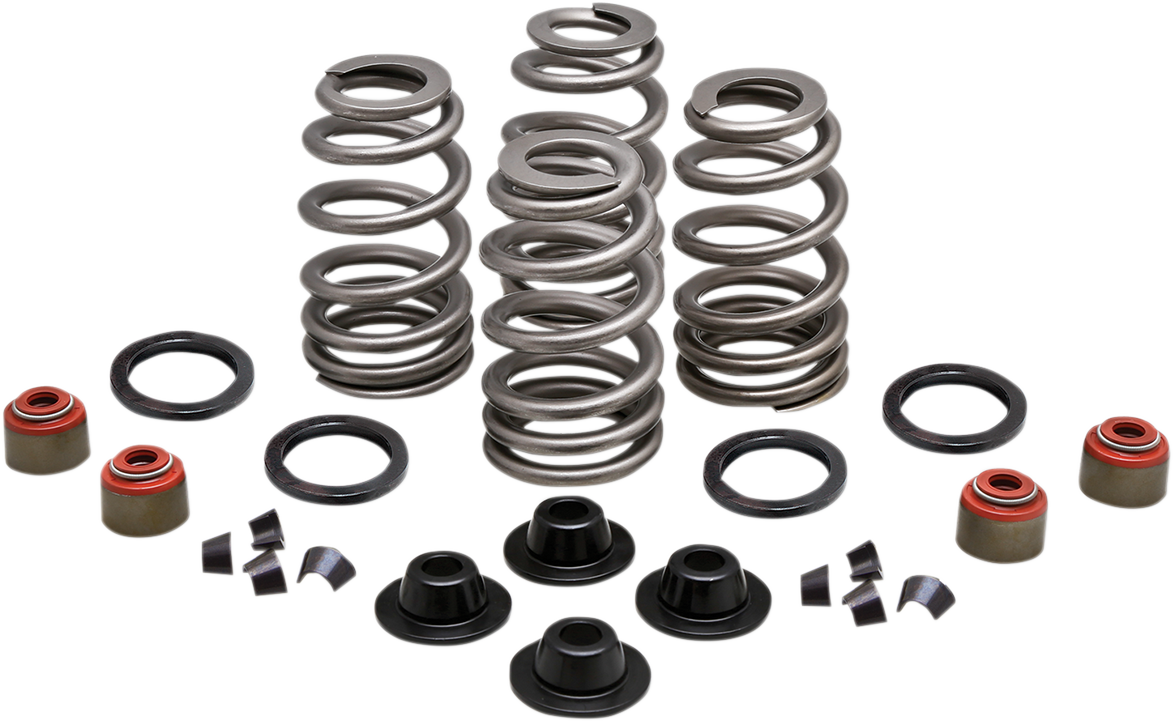 Spring Kit - .660" - Twin Cam
