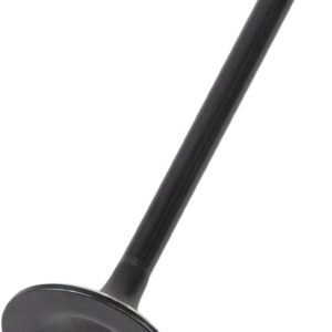 Exhaust Valve