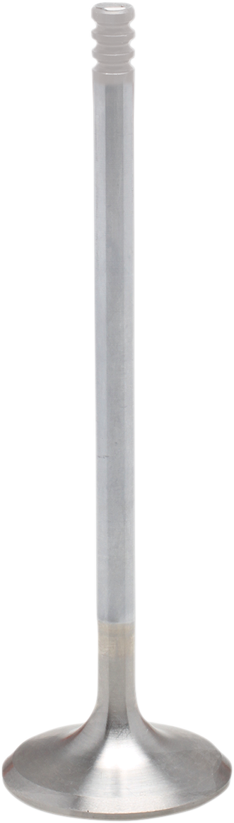 Exhaust Valve - M8