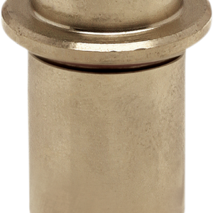 Intake Valve Guide - M8