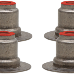 Valve Seal