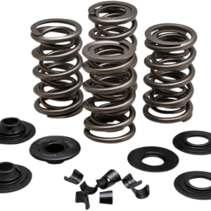 Spring Kit - .650" - Evolution/Twin Cam