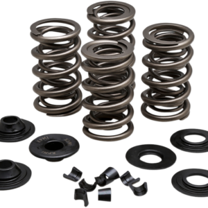 Spring Kit - .675" - Evolution/Twin Cam
