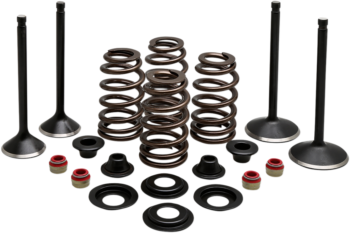 Complete Valve Kit - Evolution/1200