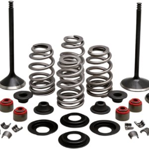 Complete Valve Kit - Evolution/1200