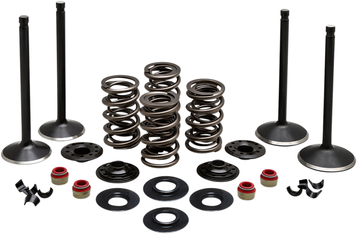 Complete Valve Kit - Twin Cam