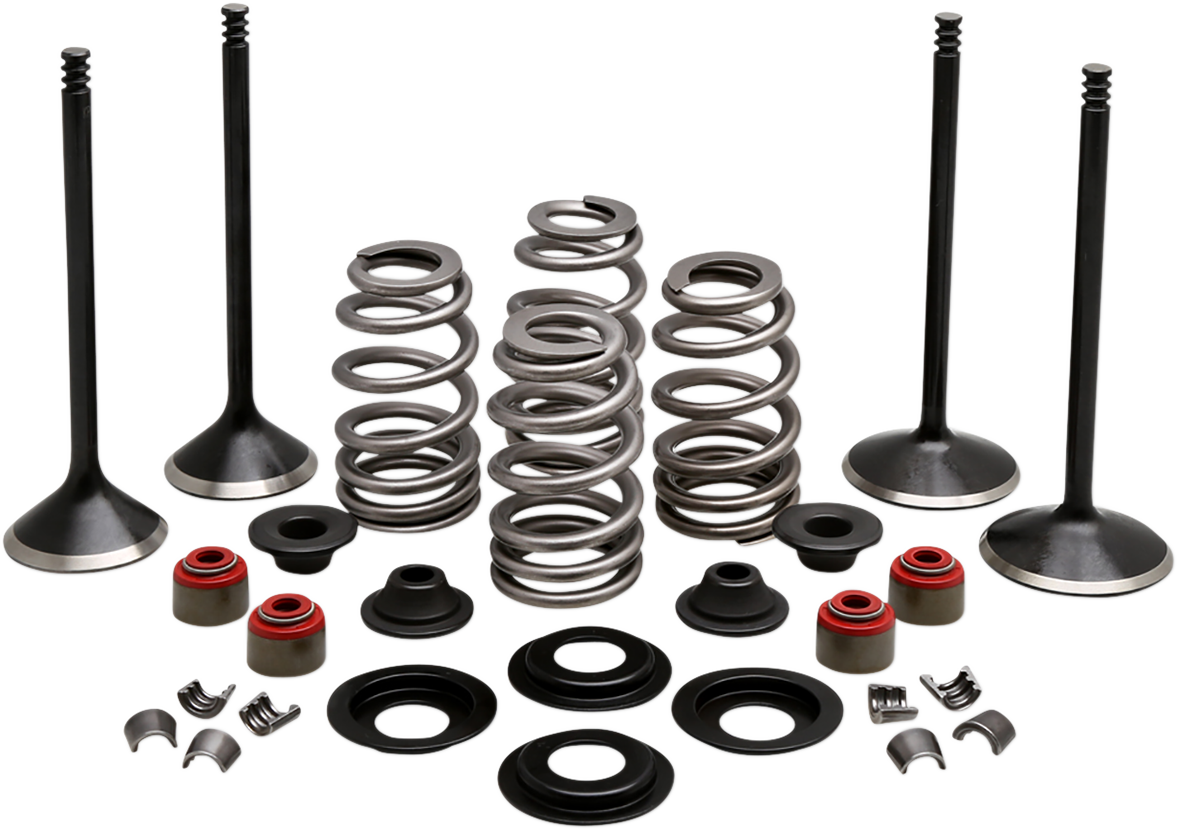 Complete Valve Kit - Twin Cam