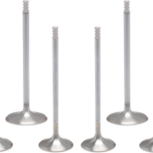 Valve Kit - M8