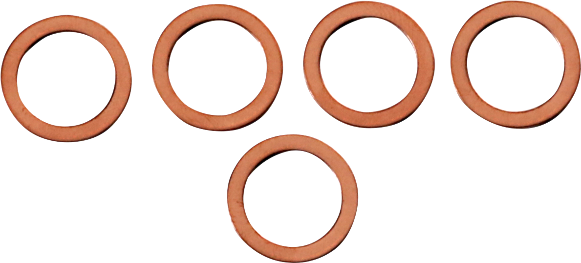 Fork Leg Washers