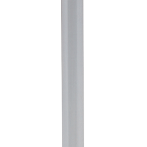 Intake Valve