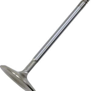 Intake Valve