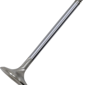 Exhaust Valve