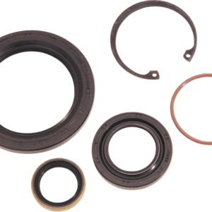 Main Drive Gear Seal - Big Twin