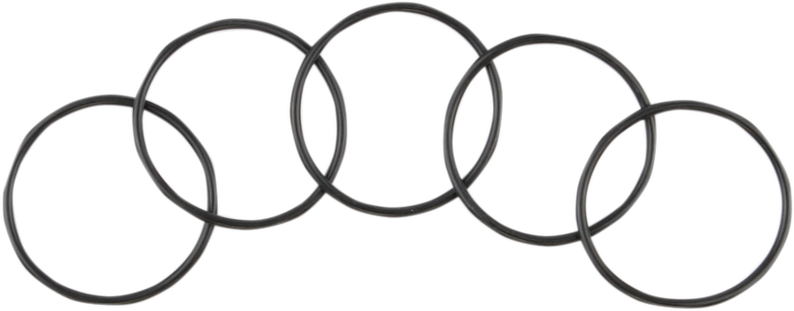 Starter to Primary Case O-Ring - 5 Pack