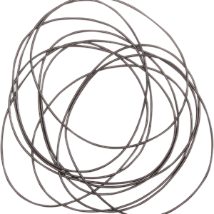 Primary Case O-Ring
