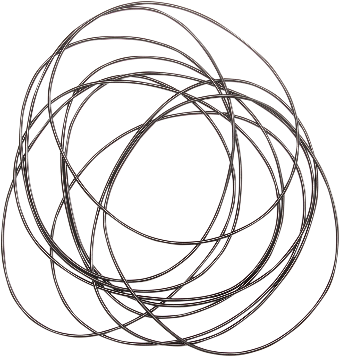 Primary Case O-Ring