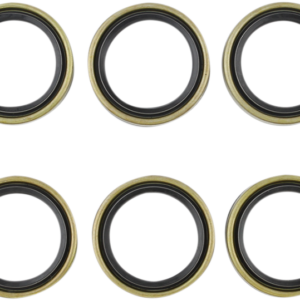 Engine Crankcase Seal