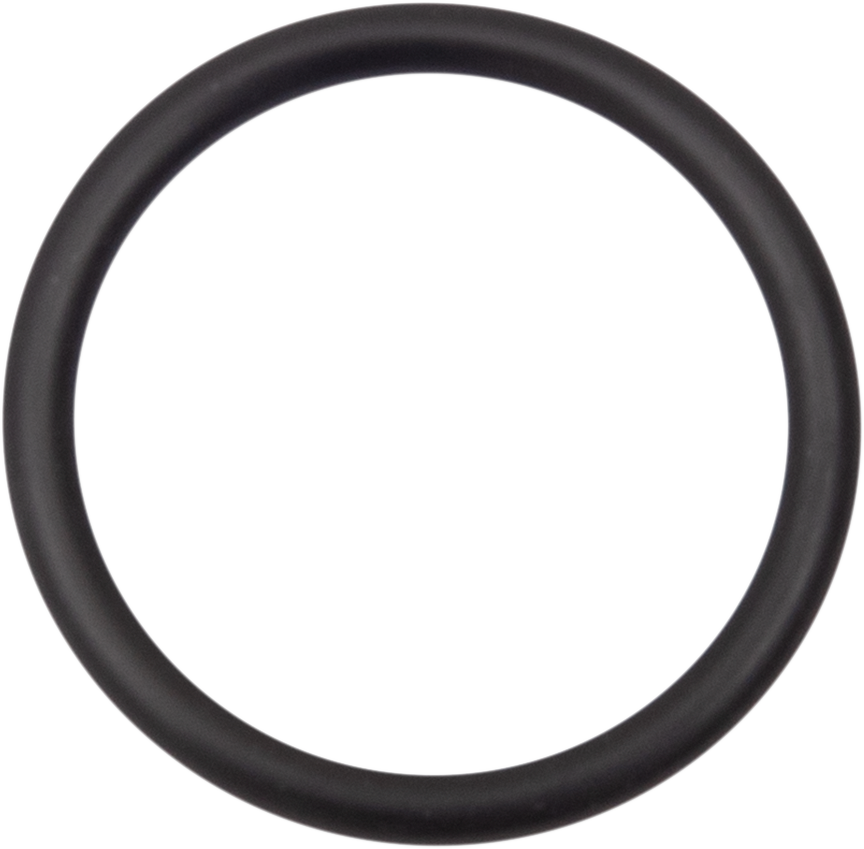 Starter O-Ring - Street 500/750
