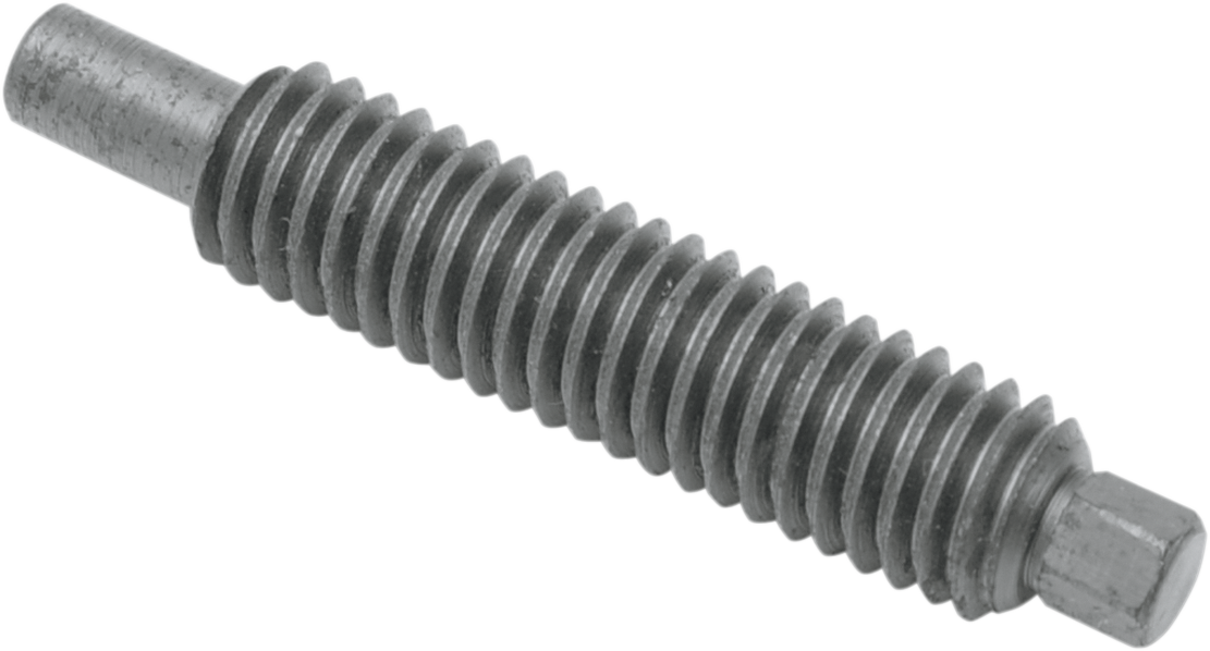 Shift Arm Screw