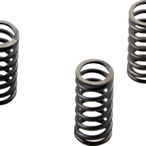 Clutch Springs