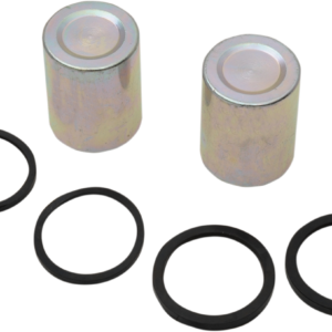 Caliper Seal Kit and Pistons - Front