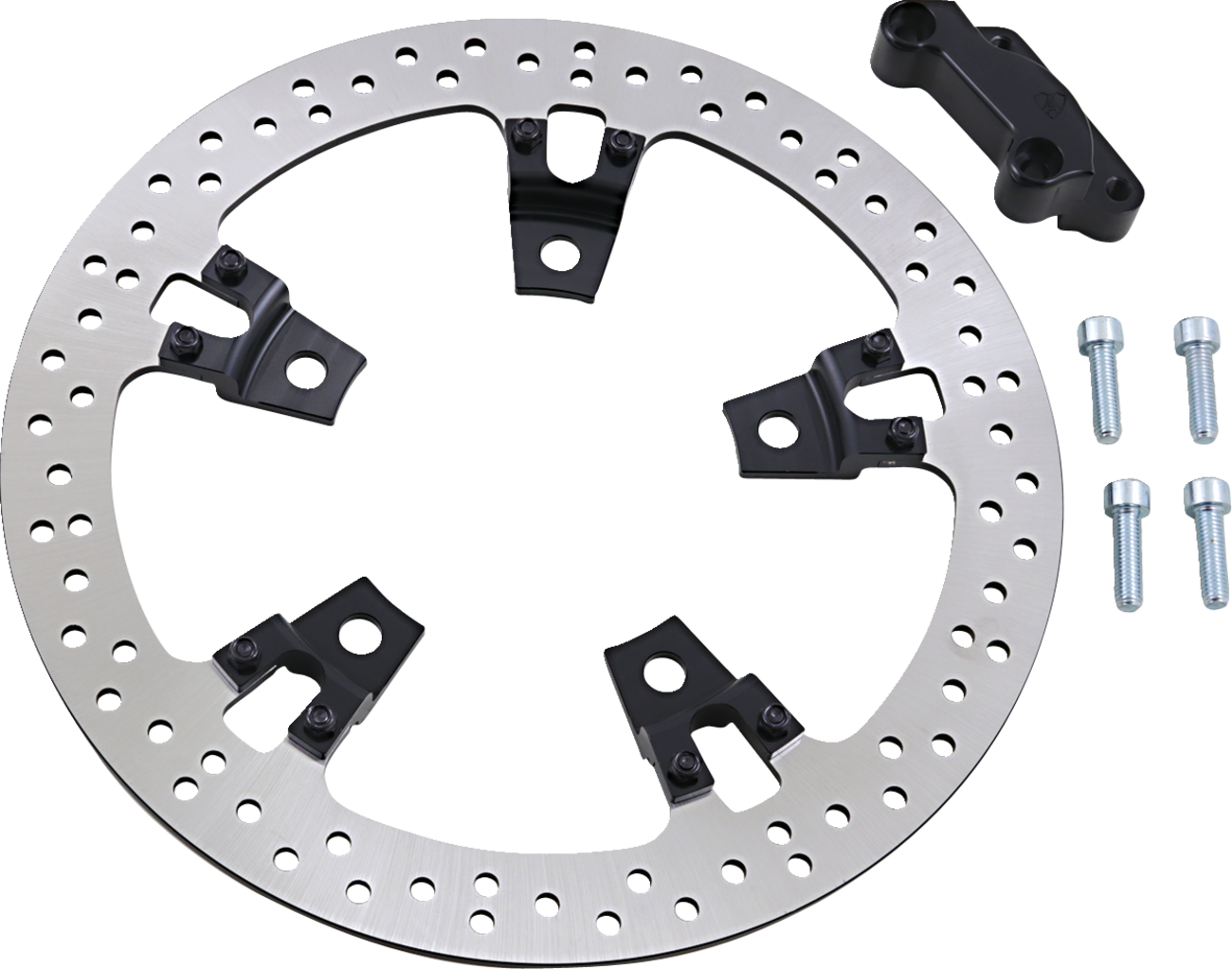 Big Brake Rotor - 14" - Front Right - Touring - Image 3