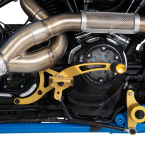 2-into-1 Big Sexy Exhaust System - Brushed Stainless Steel