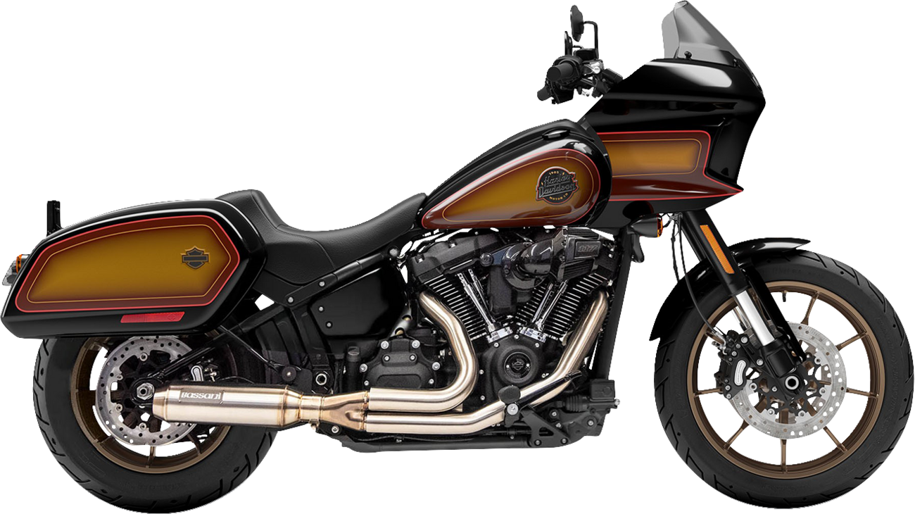 2-into-1 Stainless Exhaust System with 4" Super Bike Muffler - Image 2
