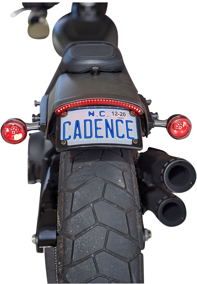 LED Taillight with Turn Signal - Red - Image 2