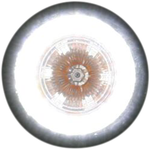 ProBEAM® Universal Turn Signals - Gloss Black/Clear
