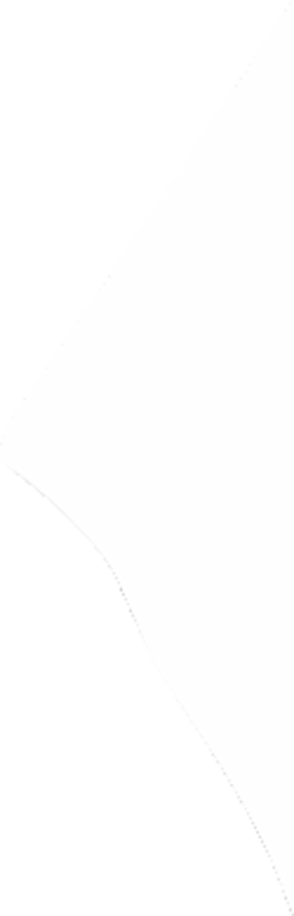 Turn Signal - Black - Image 9