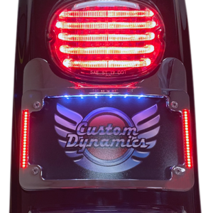 License Plate Frame/Turn Signal Eliminator - Chrome