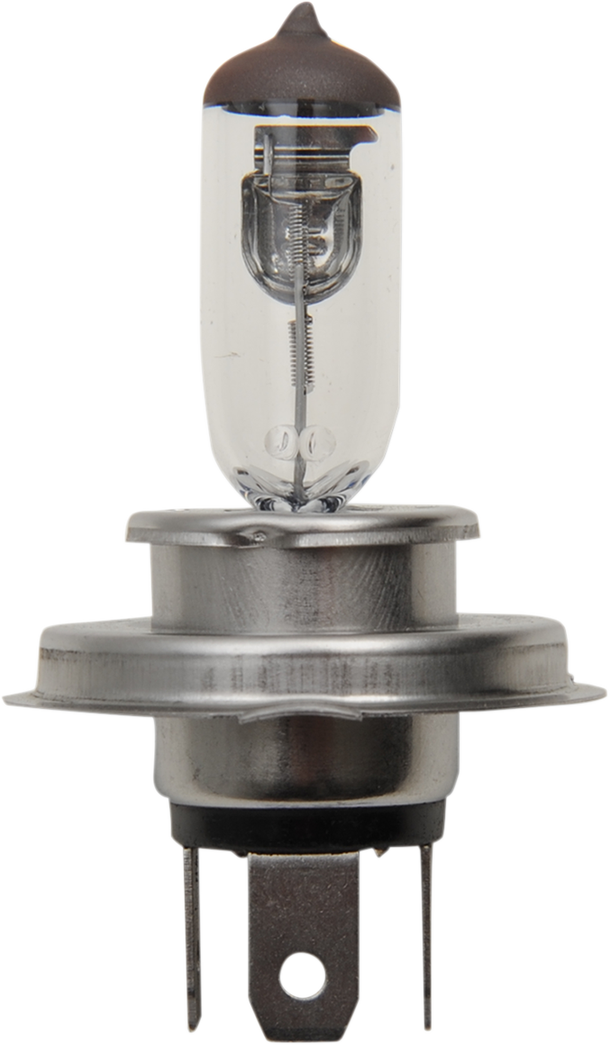 Halogen Bulb - H4 - 60/55W - Image 2